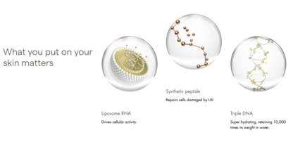 Restoring Perfection SPF 50